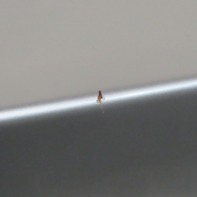 Coffre arrière occasion  Bmw 3 (E46) 320 d (1998-2001)   41627003314  3