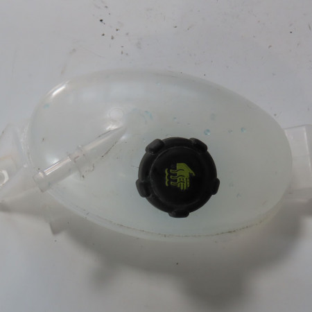 Vase expansion occasion  Renault MASTER III Camionnette (FV) 2.3 dci 135 fwd (fv0n, fv08) (2014)   217100015R 