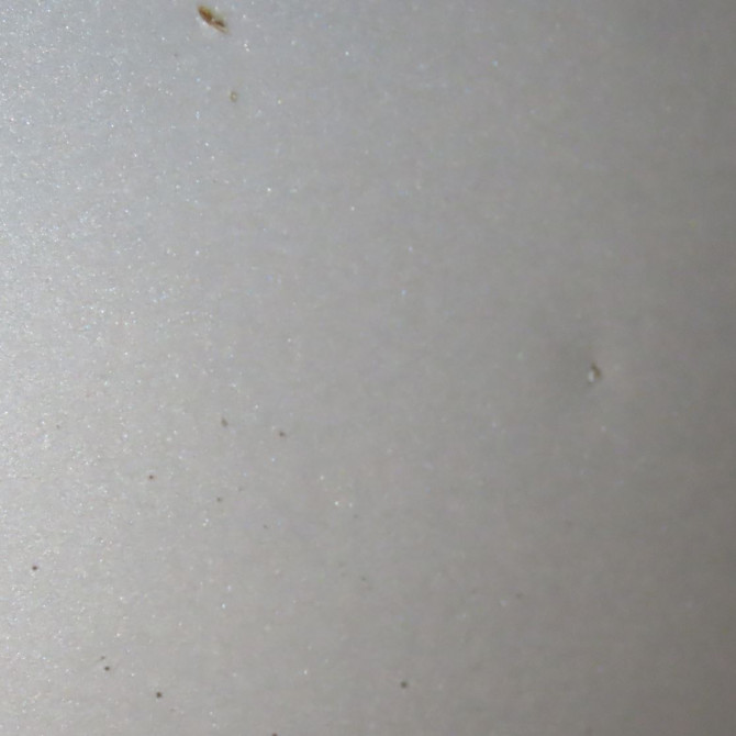 Capot occasion  Suzuki SWIFT III (MZ, EZ) 1.3 (rs 413) (2005)   5730062J01  3