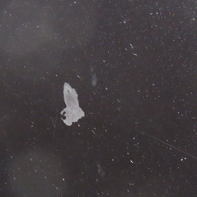 Capot occasion  Volkswagen vw NEW BEETLE (9C1, 1C1) 1.9 tdi (1998-2004)   1C0823031L  3