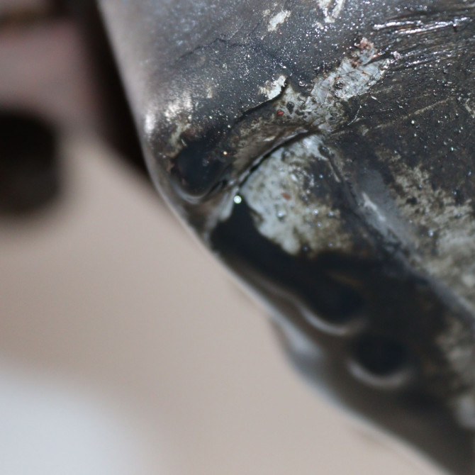 Moteur diesel occasion  Volkswagen vw NEW BEETLE (9C1, 1C1) 1.9 tdi (1998-2004)   ALH  6