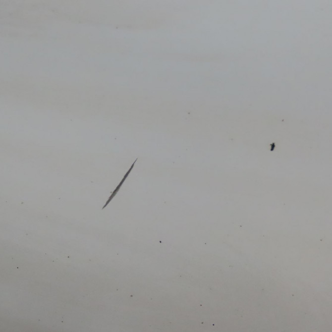 Porte avant droite occasion  Fiat FIORINO Camionnette/Monospace (225_) 1.3 d multijet (225bxd1a, 225bxb1a, 225bxb11) (2007)   1396510080  3