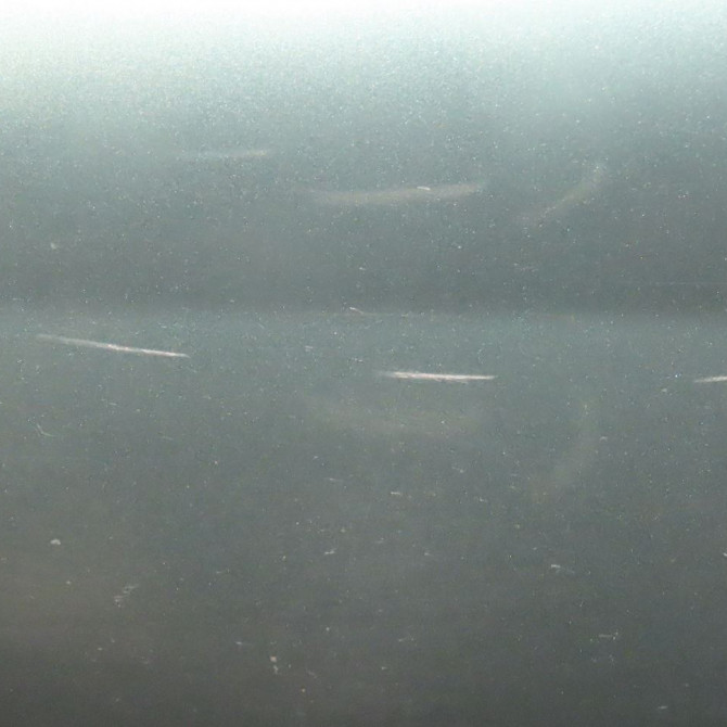 Aile avant gauche occasion  Peugeot 406 (8B) 1.8 bifuel (1999-2003)   7840J8  3