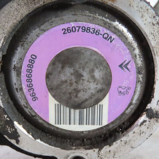 Pompe direction assistee occasion  Peugeot 206 CC (2D) 1.6 16v (2dnfuf, 2dnfur) (2000-2007) 2 portes   9636868880  2