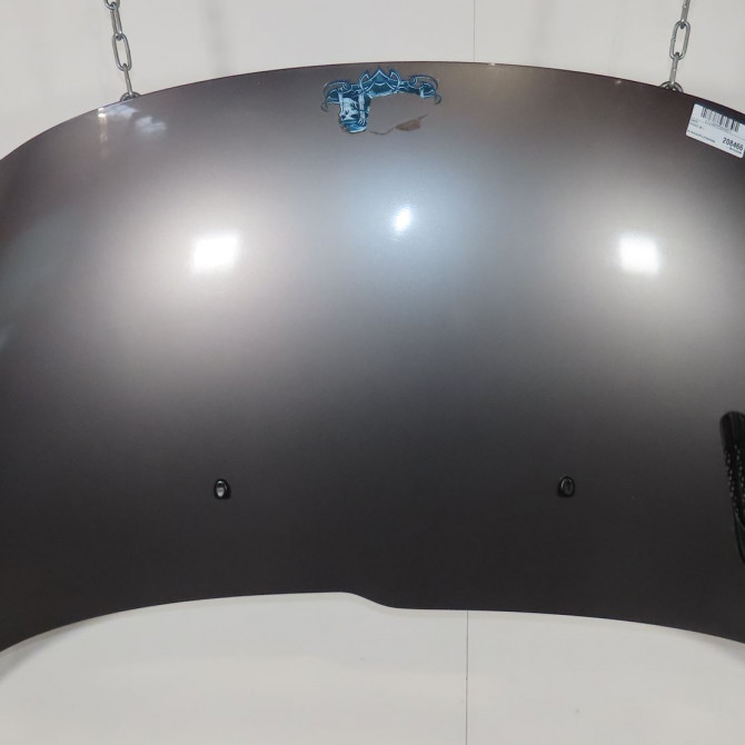 Capot occasion  Peugeot 206+ (2L_, 2M_) 1.4 hdi eco 70 (2009-2013) 5 portes   7901R5  1