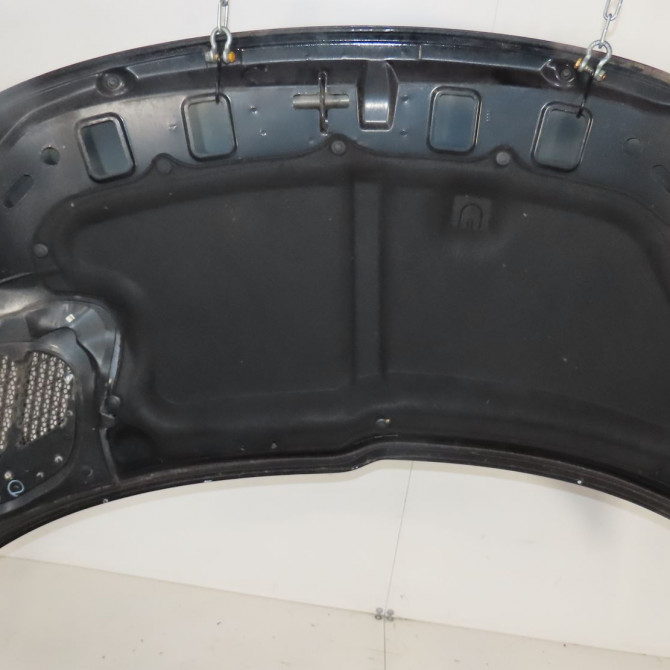 Capot occasion  Peugeot 206+ (2L_, 2M_) 1.4 hdi eco 70 (2009-2013) 5 portes   7901R5  2