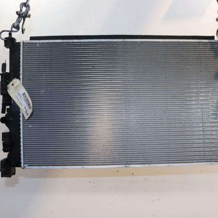 Radiateur occasion  Renault MEGANE E-TECH SUV Ev60 (2021)   214105MZ0A 