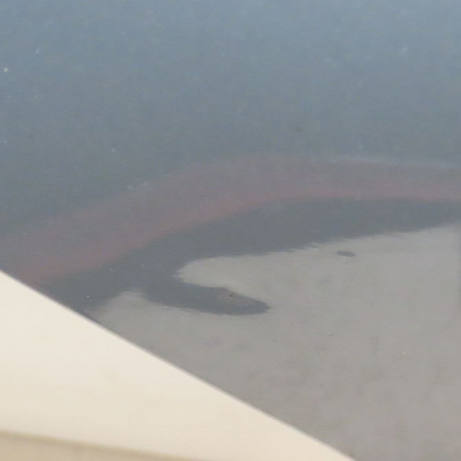 Porte arrière droite occasion  Volkswagen vw GOLF VI (5K1) 1.6 tdi (2009-2012) 5 portes   5K6833056K  4