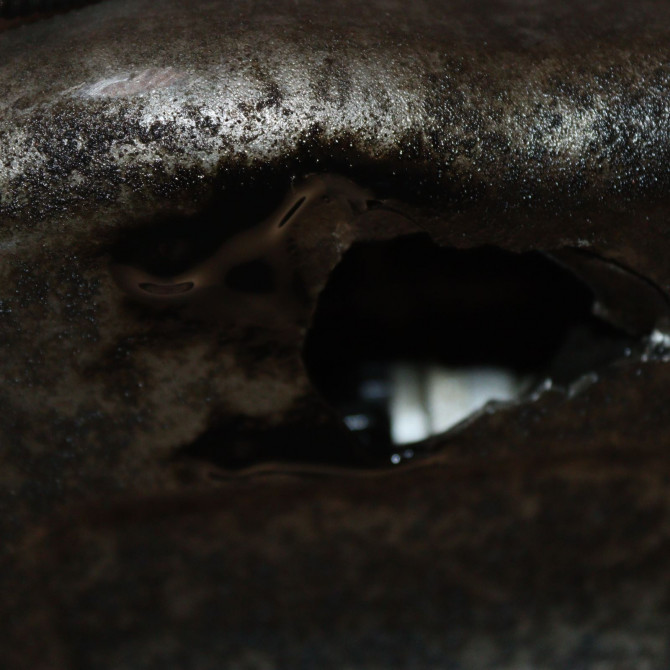 Moteur diesel occasion  Bmw 1 (E87) 118 d (2004-2007) 5 portes   N47D20C-157055  6