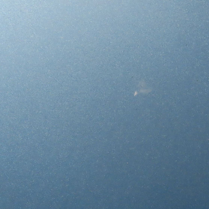 Porte arrière gauche occasion  Opel AGILA (B) (H08) 1.3 cdti (f68) (2008-2010) 5 portes   93193293  7