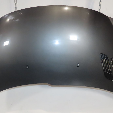 Capot occasion  Peugeot 206+ (2L_, 2M_) 1.4 i (2010-2013)   7901R5 