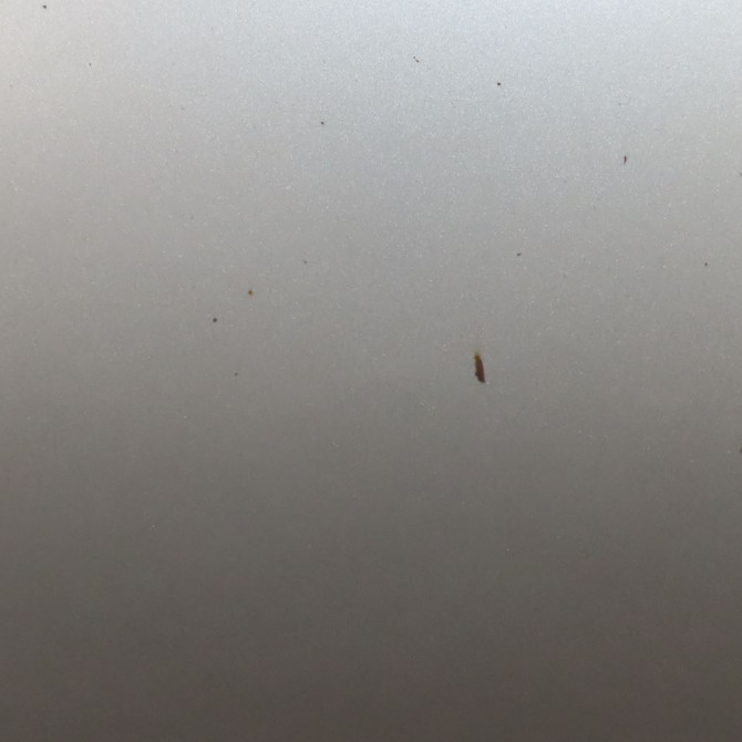 Capot occasion  Hyundai I20 I (PB, PBT) 1.4 crdi (2008-2015)   664001J000  5