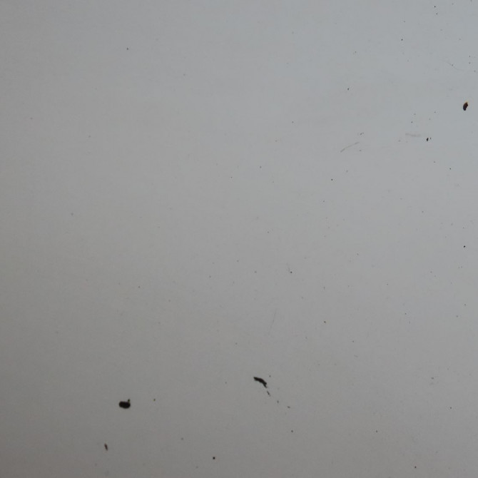 Capot occasion  Renault KANGOO Express (FW0/1_) 1.5 dci 110 (fw0c, fw0h) (2010)   651003220R  4