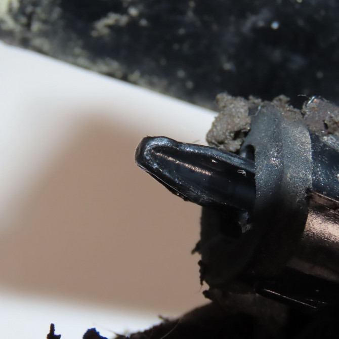 Feu arrière droit occasion  Fiat TIPO A trois volumes (356_, 357_) 1.4 (356sxa1b) (2015-2020)   521029650  6