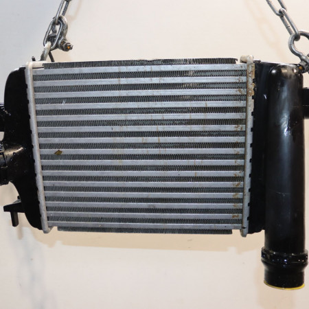 Echangeur air occasion  Renault CLIO V (B7_) Tce 90 (b7mt) (2020)   144966668R 