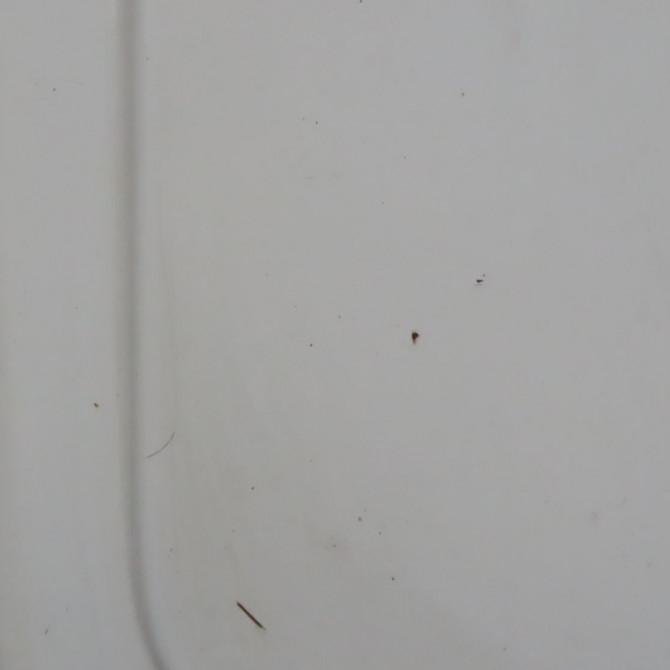 Porte battante arrière droite occasion  Renault KANGOO Express (FC0/1_) 1.5 dci (2005) 4 portes   7752233583  6