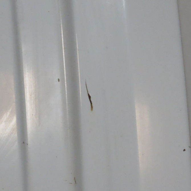 Porte battante arrière droite occasion  Renault KANGOO Express (FC0/1_) 1.5 dci (2005) 4 portes   7752233583  7