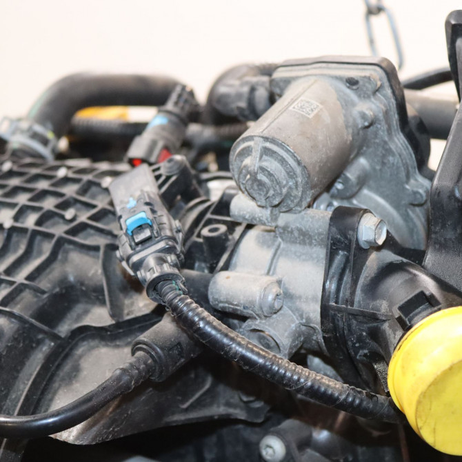 Moteur essence occasion  Renault CLIO V (B7_) 1.0 sce 75 (b7m5) (2019)   B4DG409  6