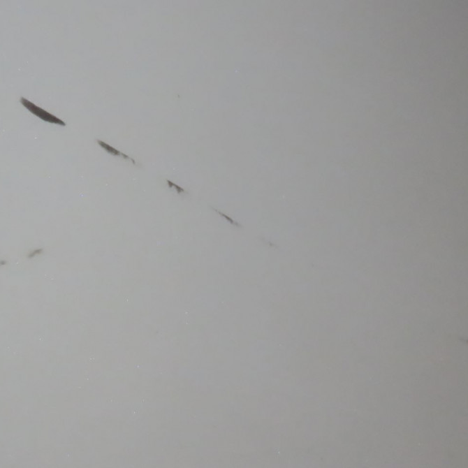 Porte arrière gauche occasion  Nissan NOTE (E12) 1.5 dci (2013)   H21013VVMA  3