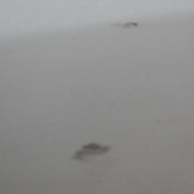 Porte arrière gauche occasion  Nissan NOTE (E12) 1.2 (2013)   H21013VVMA  5