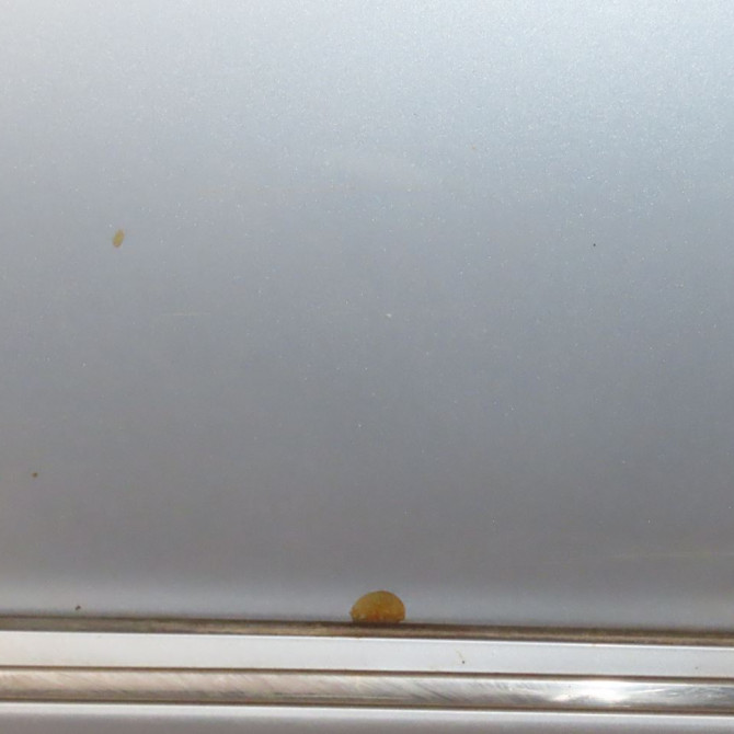 Porte avant droite occasion  Mercedes-benz CLASSE B Sports Tourer (W245) B 180 cdi (245.207) (2005-2011) 5 portes   1697202605  4