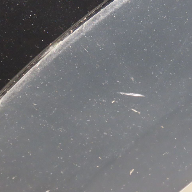 Porte arrière gauche occasion  Mini MINI COUNTRYMAN (R60) Cooper sd all4 (2011-2016)   41009805929  3