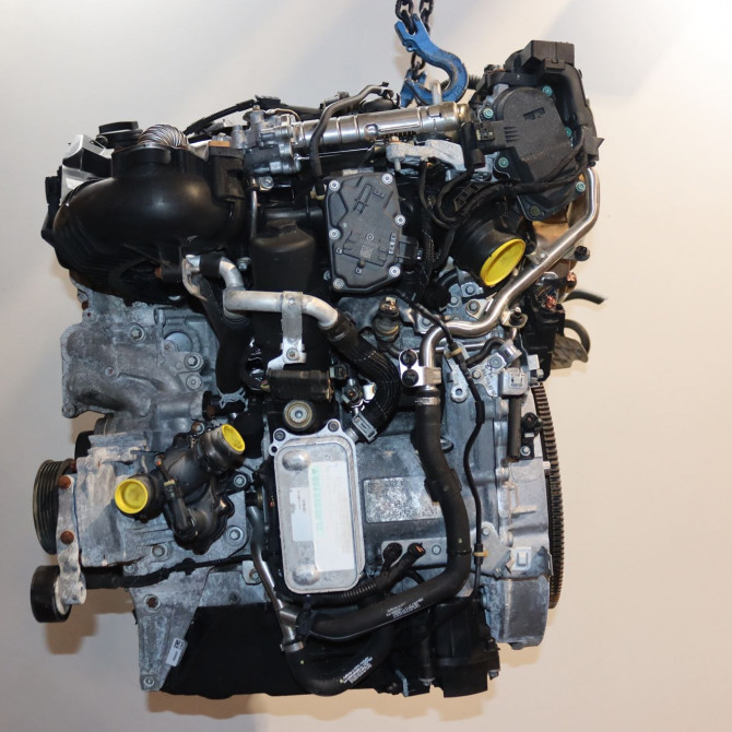 Moteur diesel occasion  Mercedes-benz CLASSE A (W177) A 200 d (177.012) (2018) 5 portes   A6540100810  1