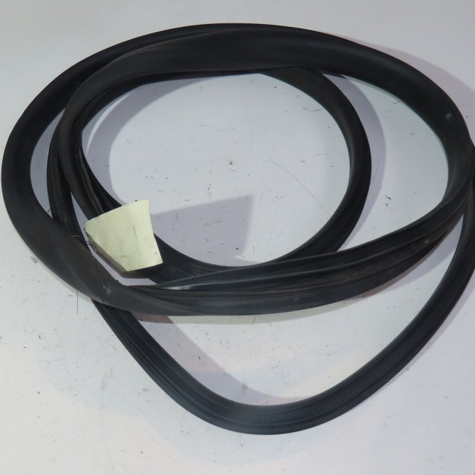 Joint porte avg occasion  Renault ZOE (BFM_) Zoe (2012) 5 portes   808324593R  1