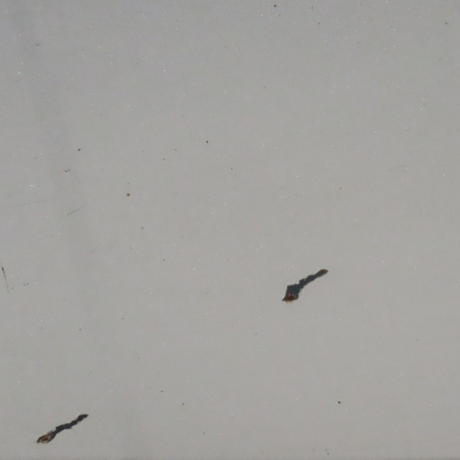 Hayon occasion  Volkswagen vw TOURAN (1T1, 1T2) 1.9 tdi (2003-2004)   1T0827025L  7