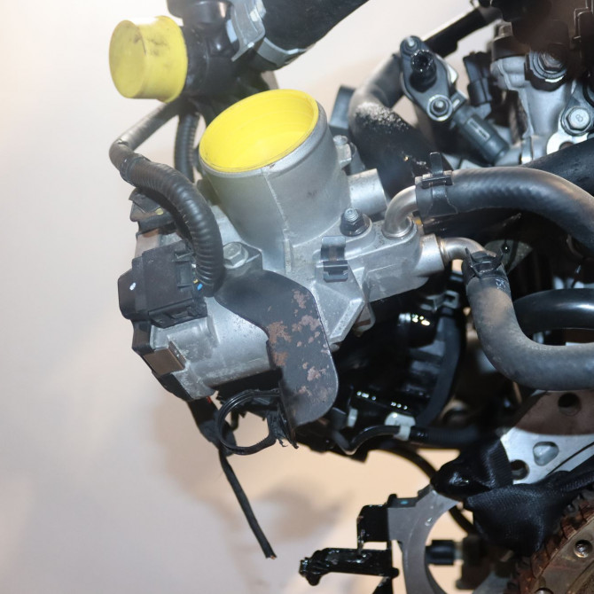 Moteur essence occasion  Kia RIO III (UB) 1.2 cvvt (2014-2017)   G4LA-V114103P00  5