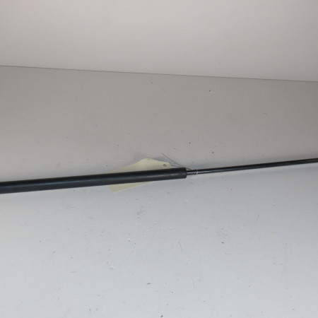 Verin gauche hayon occasion  Renault SCÉNIC III (JZ0/1_) 1.5 dci (2009) 5 portes   904517337R 