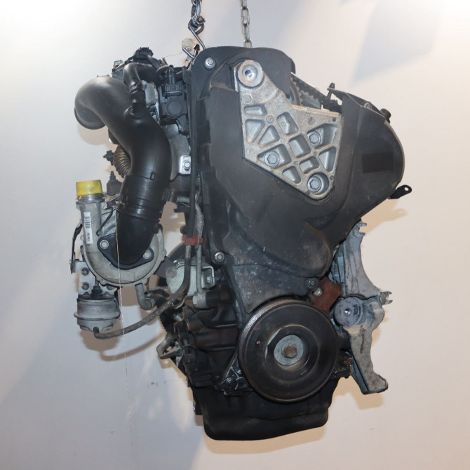 Moteur diesel occasion  Renault SCÉNIC III (JZ0/1_) 1.9 dci (jz0j, jz1j, jz1k, jz1s) (2009)   F9QP872  3