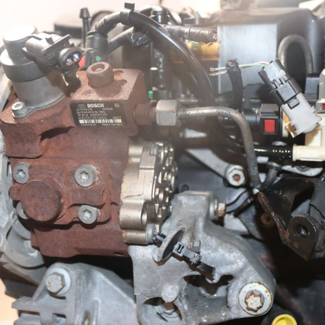 Moteur diesel occasion  Renault SCÉNIC III (JZ0/1_) 1.9 dci (jz0j, jz1j, jz1k, jz1s) (2009)   F9QP872  6