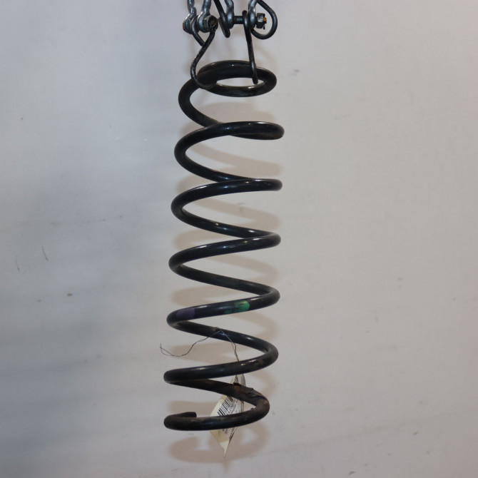 Ressort amortisseur ard occasion  Renault SCÉNIC III (JZ0/1_) 1.5 dci (2009) 5 portes   550200061R  1