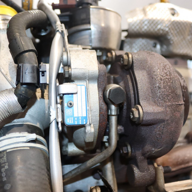 Moteur diesel occasion  Volkswagen vw POLO V (6R1, 6C1) 1.4 tdi (2014) 5 portes   CUSA  5