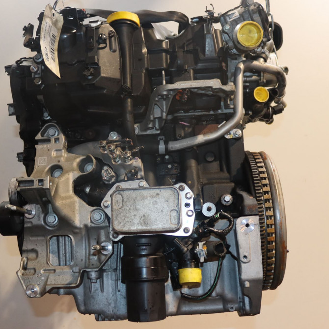 Moteur diesel occasion  Renault CLIO V (B7_) 1.5 blue dci 85 (b7ag) (2019) 5 portes   K9K872  1