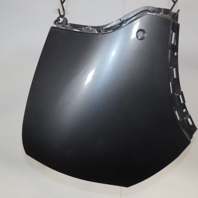 Crosse arg occasion  Peugeot 2008 II (UD_, US_, UY_, UK_) 1.5 bluehdi 130 (2019)   983855131T  1