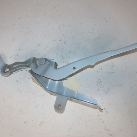 Compas d capot occasion  Peugeot 2008 II (UD_, US_, UY_, UK_) 1.5 bluehdi 130 (2019)   9838511280 