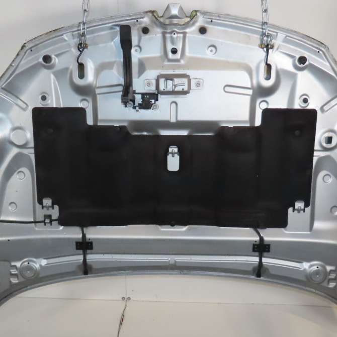 Capot occasion  Renault MEGANE III 3/5 portes (BZ0/1_, B3_) 1.5 dci (bz0c) (2008-2015) 5 portes   651009018R  2