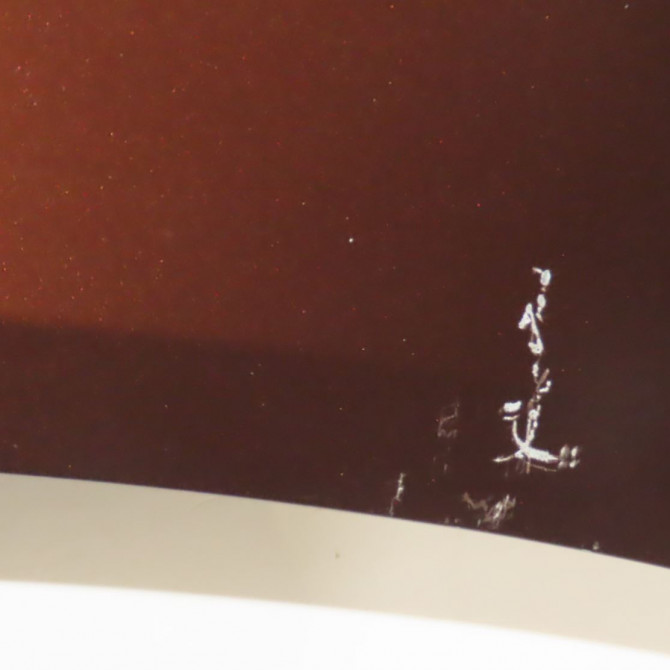 Capot occasion  Renault CLIO IV (BH_) 0.9 tce 90 (2012) 5 portes   651009833R  6