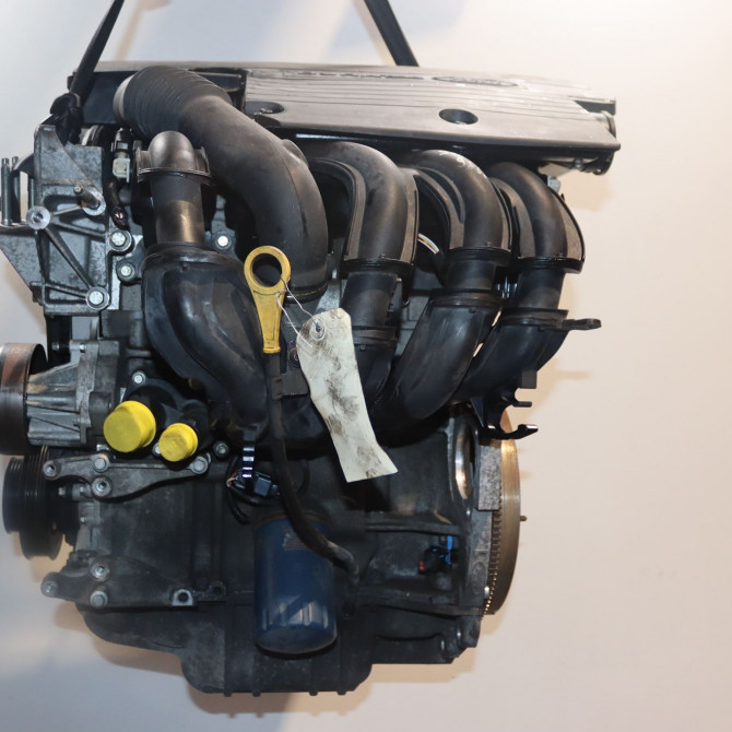 Moteur essence occasion  Ford FIESTA V (JH_, JD_) 1.25 16v (2002-2008)   FUJA  1