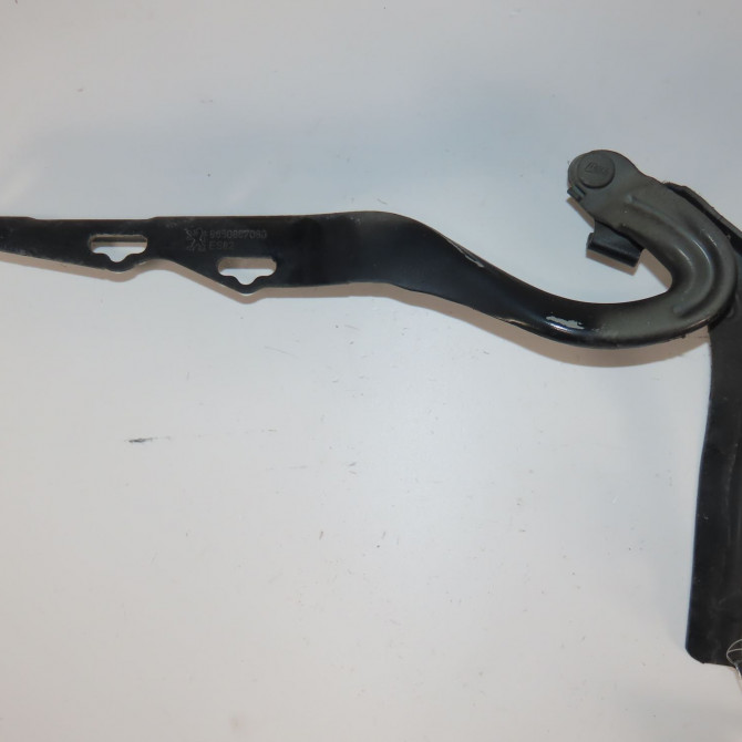 Compas g capot occasion  Peugeot 207/207+ (WA_, WC_) 1.4 hdi (2006-2015) 5 portes   791297  1