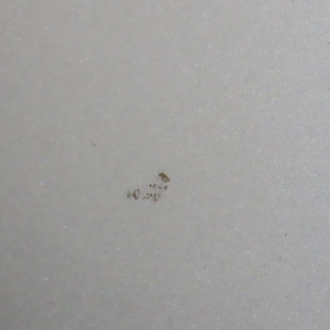 Capot occasion  Peugeot 406 Coupé (8C) 2.2 hdi (2000-2004) 2 portes   7901J2  5