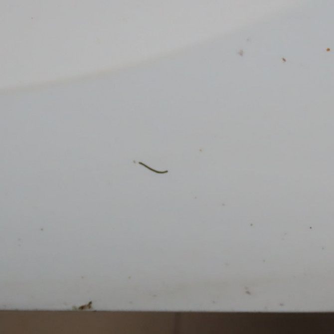 Porte avant droite occasion  Opel MERIVA B Monospace (S10) 1.7 cdti (75) (2010-2017)   39144652  6