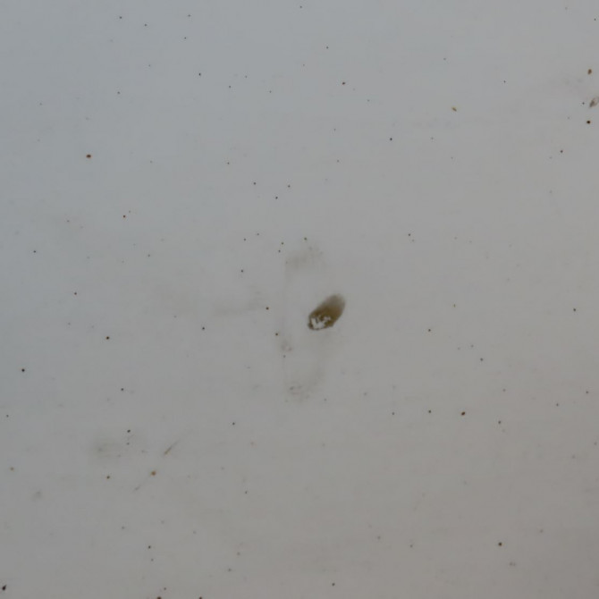 Porte avant droite occasion  Renault CLIO IV (BH_) 1.5 dci 75 (2012) 5 portes   801008302R  5