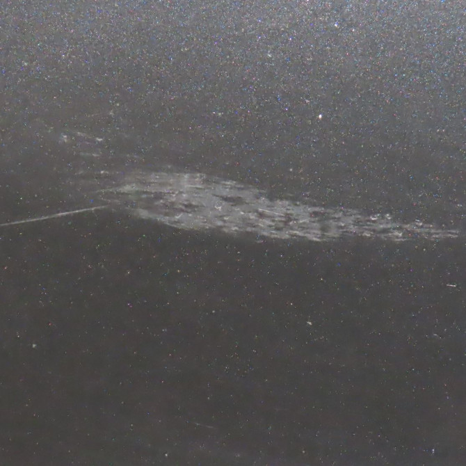 Porte avant droite occasion  Audi Q7 (4LB) 3.0 tdi quattro (2006-2008)   4L0831052A  6