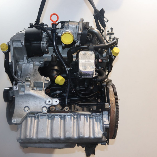 Moteur diesel occasion  Volkswagen vw GOLF PLUS V (5M1, 521) 1.6 tdi (2009-2013) 5 portes   CAY-Q-QX  1