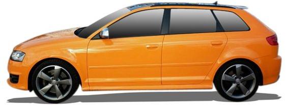 Audi A3 (8P1) 2.0 fsi (2003-2008)
